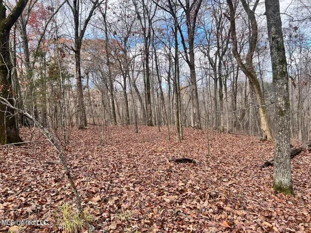 $170,000 | North Ricks Road, Coldwater, MS 38618