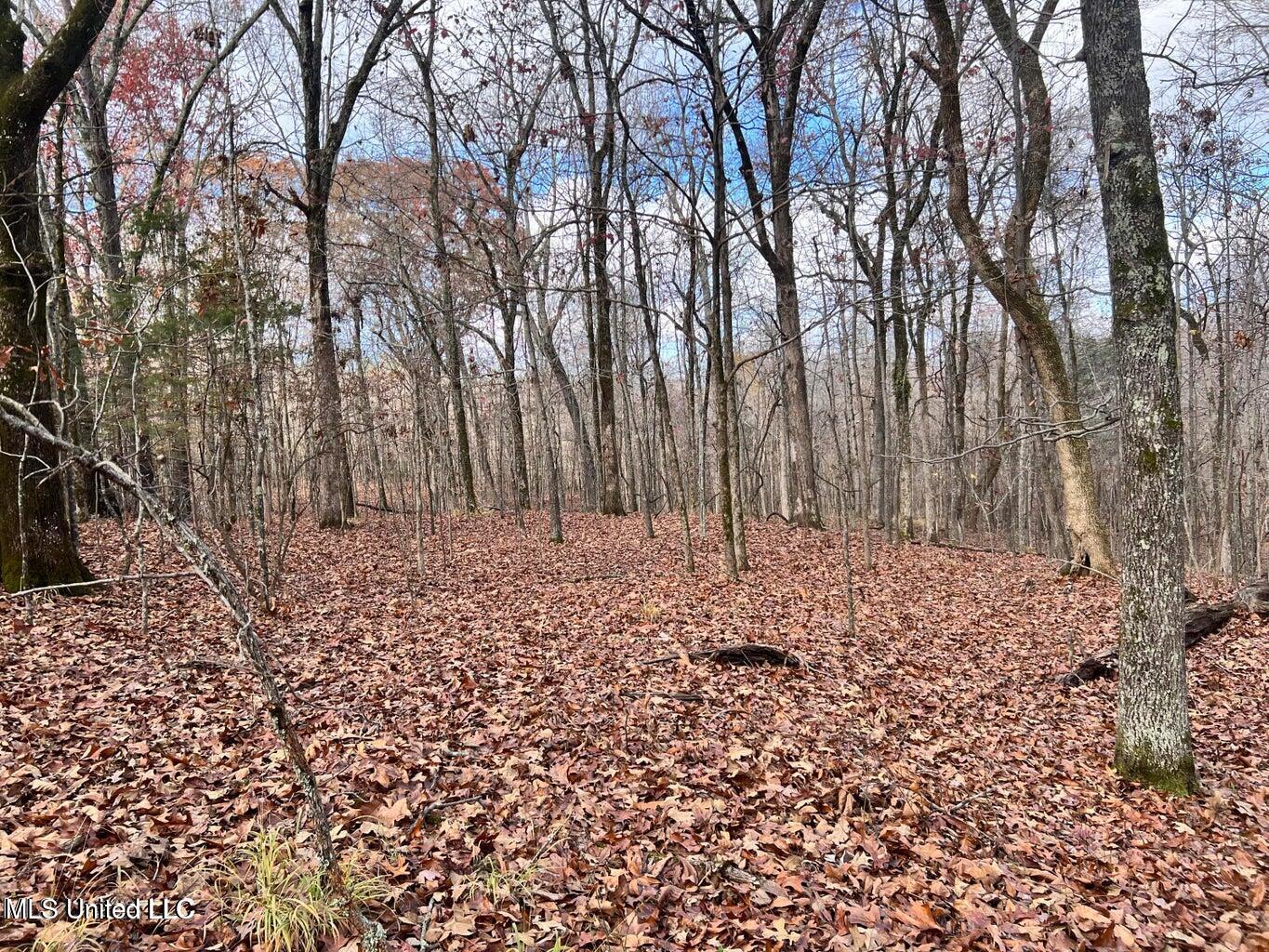 North Ricks Road Coldwater, MS 38618 - Photo 26 of 42 nricks23