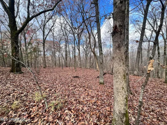 $170,000 | North Ricks Road, Coldwater, MS 38618