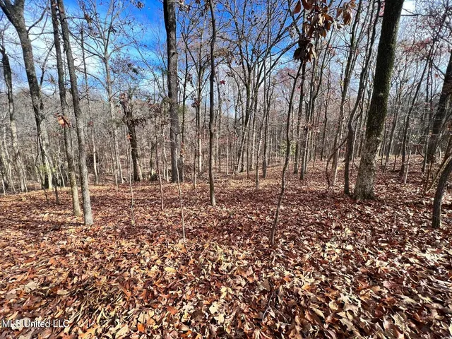 $170,000 | North Ricks Road, Coldwater, MS 38618