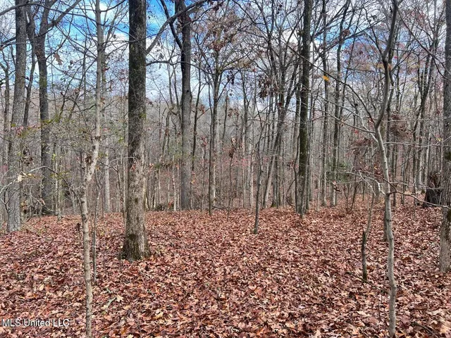 $170,000 | North Ricks Road, Coldwater, MS 38618