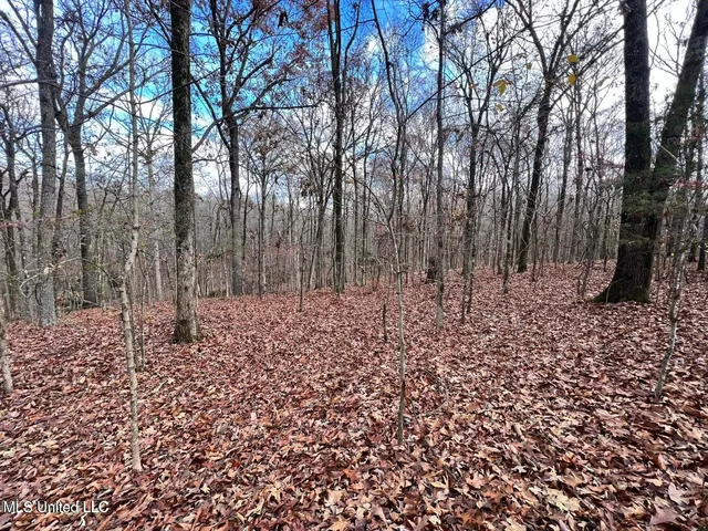 $170,000 | North Ricks Road, Coldwater, MS 38618