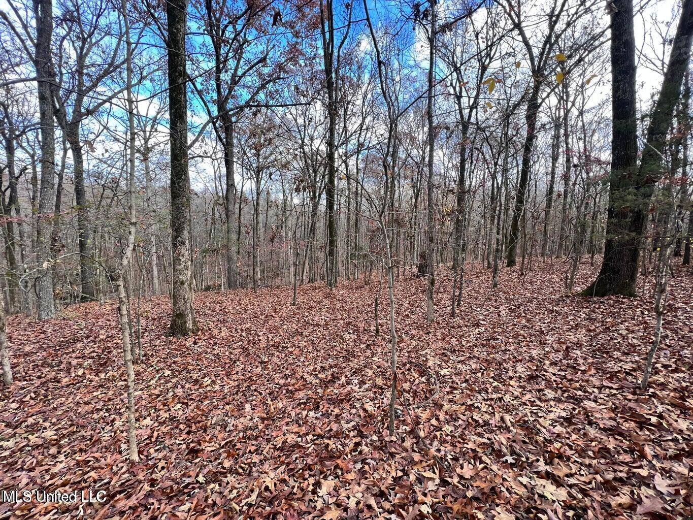 North Ricks Road Coldwater, MS 38618 - Photo 30 of 42 nricks19