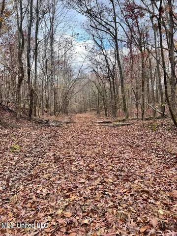 $170,000 | North Ricks Road, Coldwater, MS 38618
