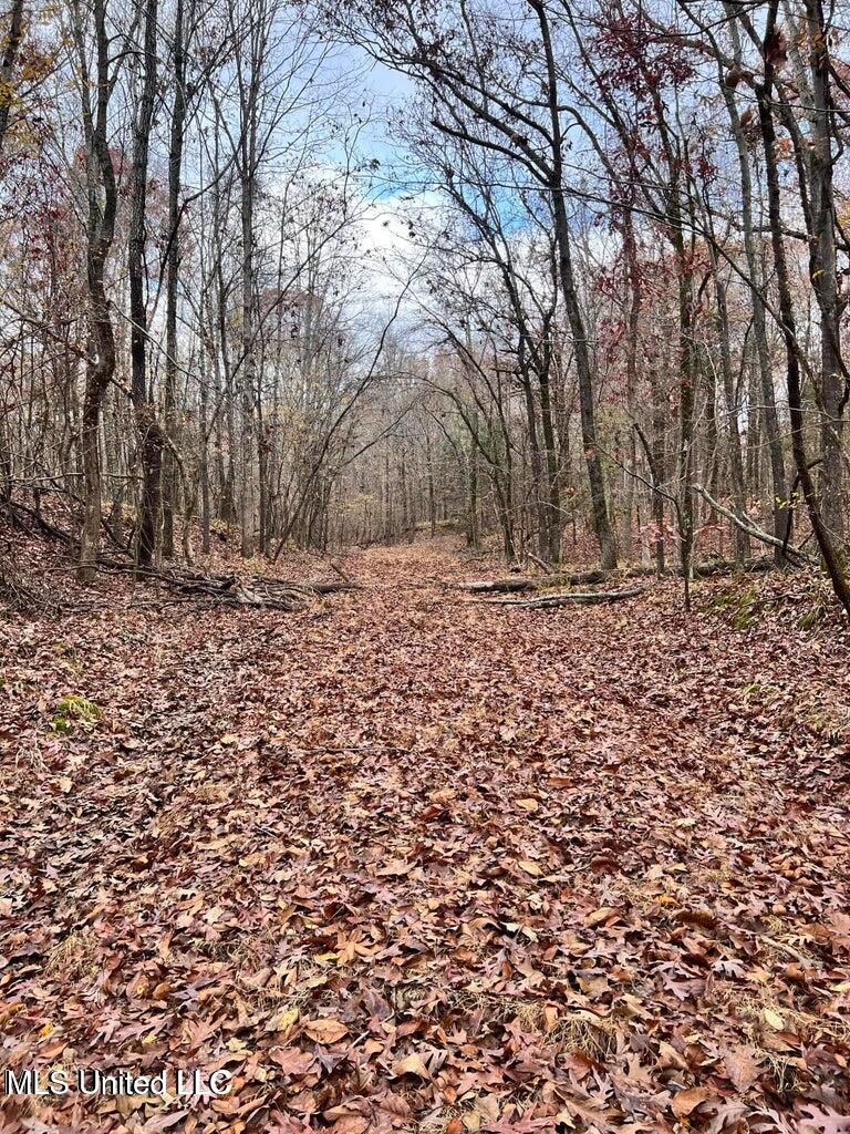 North Ricks Road Coldwater, MS 38618 - Photo 3 of 42 n ricks1