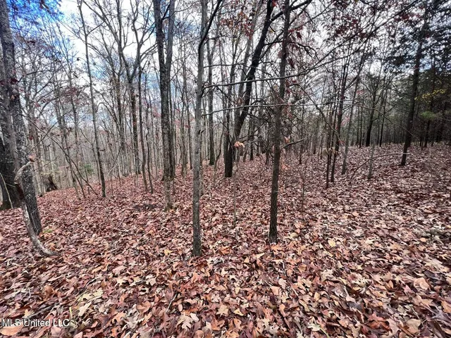 $170,000 | North Ricks Road, Coldwater, MS 38618