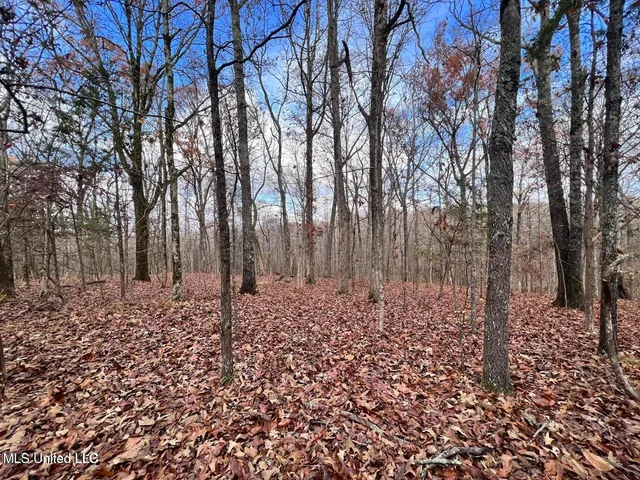 $170,000 | North Ricks Road, Coldwater, MS 38618