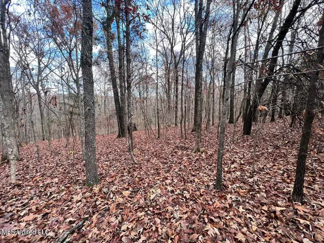 $170,000 | North Ricks Road, Coldwater, MS 38618