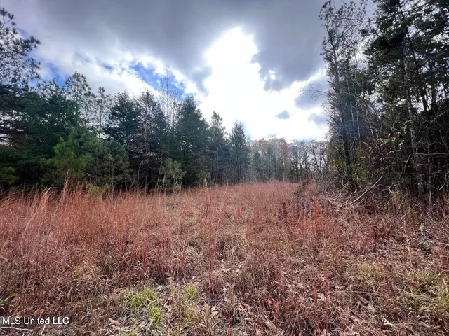$170,000 | North Ricks Road, Coldwater, MS 38618