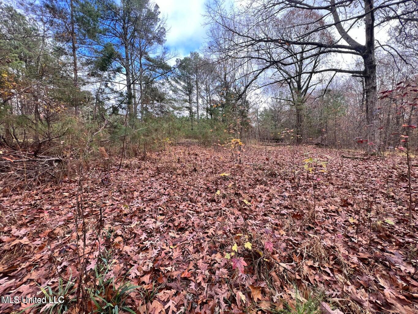 North Ricks Road Coldwater, MS 38618 - Photo 36 of 42 nricks12