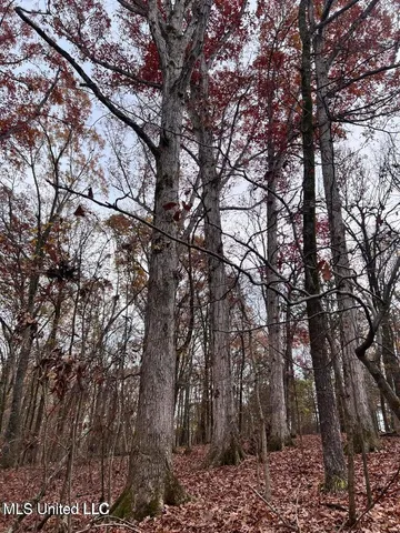 $170,000 | North Ricks Road, Coldwater, MS 38618