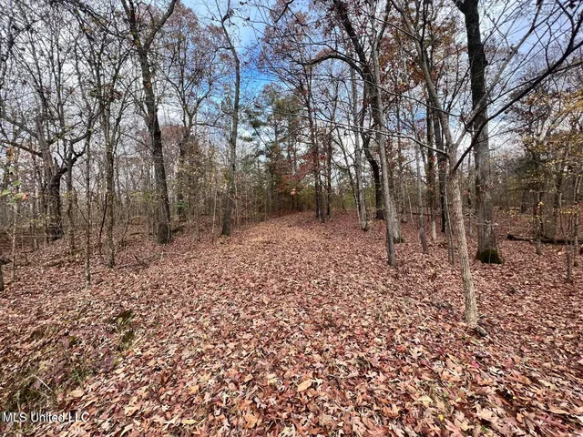 $170,000 | North Ricks Road, Coldwater, MS 38618