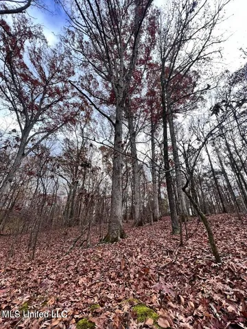 $170,000 | North Ricks Road, Coldwater, MS 38618