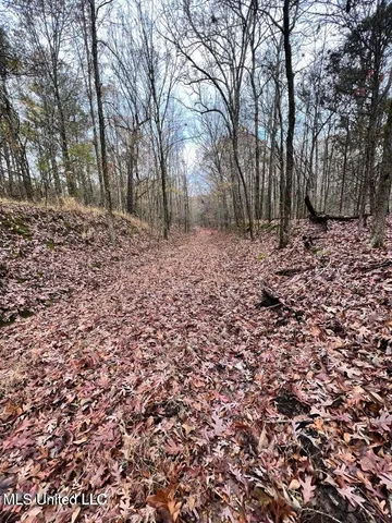 $170,000 | North Ricks Road, Coldwater, MS 38618