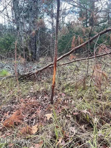 $170,000 | North Ricks Road, Coldwater, MS 38618