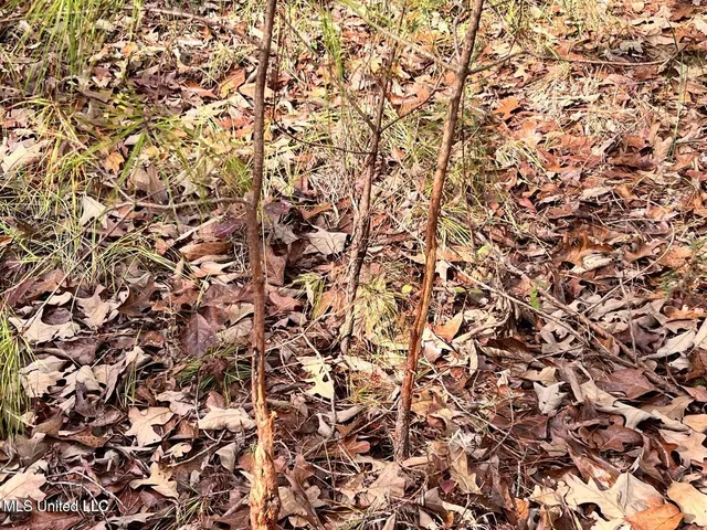 $170,000 | North Ricks Road, Coldwater, MS 38618