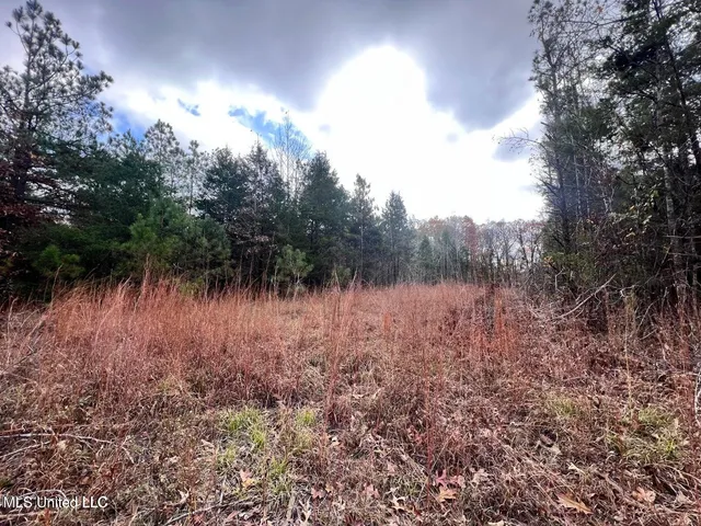 $170,000 | North Ricks Road, Coldwater, MS 38618