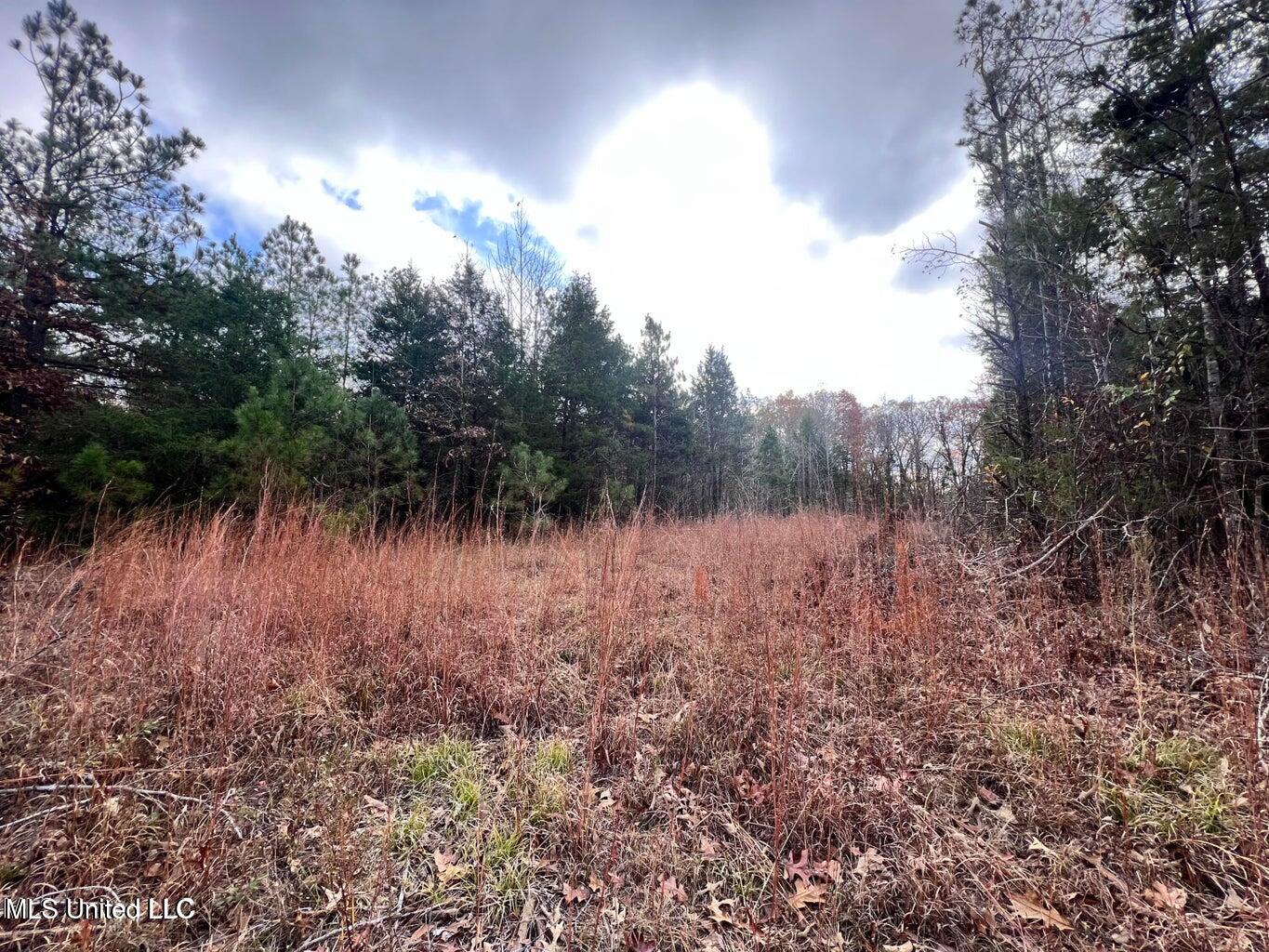 North Ricks Road Coldwater, MS 38618 - Photo 5 of 42 nricks3