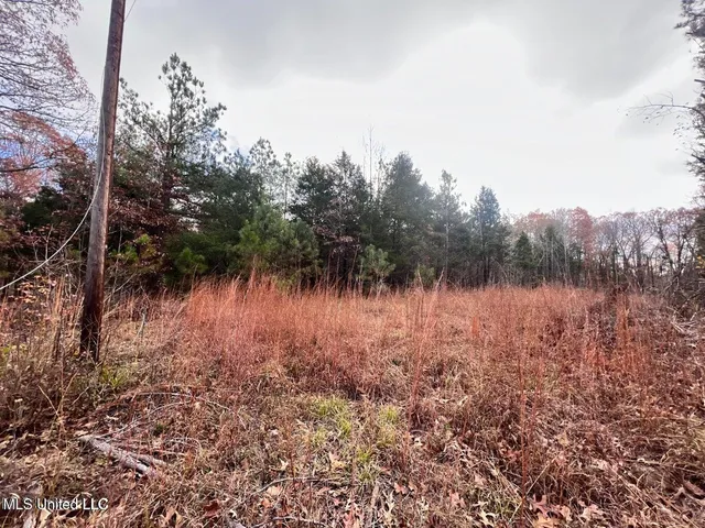 $170,000 | North Ricks Road, Coldwater, MS 38618