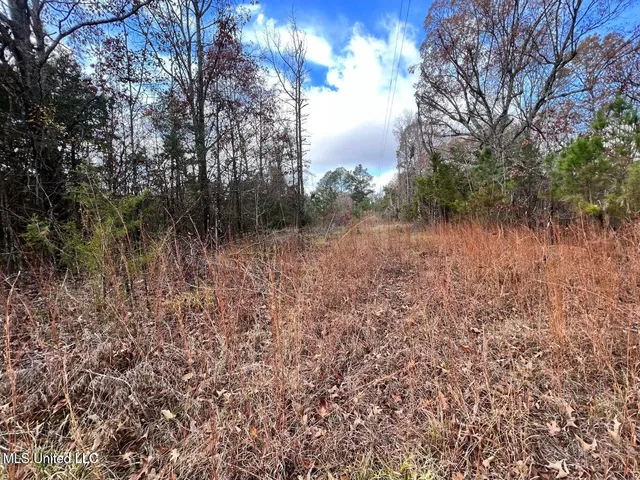 $170,000 | North Ricks Road, Coldwater, MS 38618