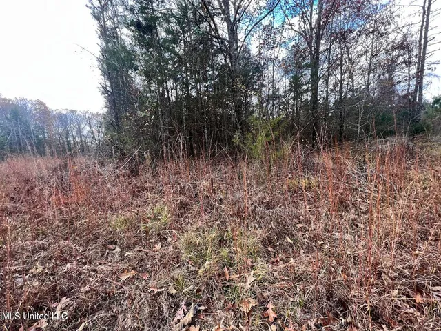 $170,000 | North Ricks Road, Coldwater, MS 38618