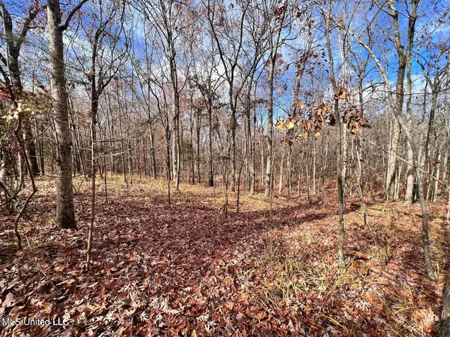 $170,000 | North Ricks Road, Coldwater, MS 38618
