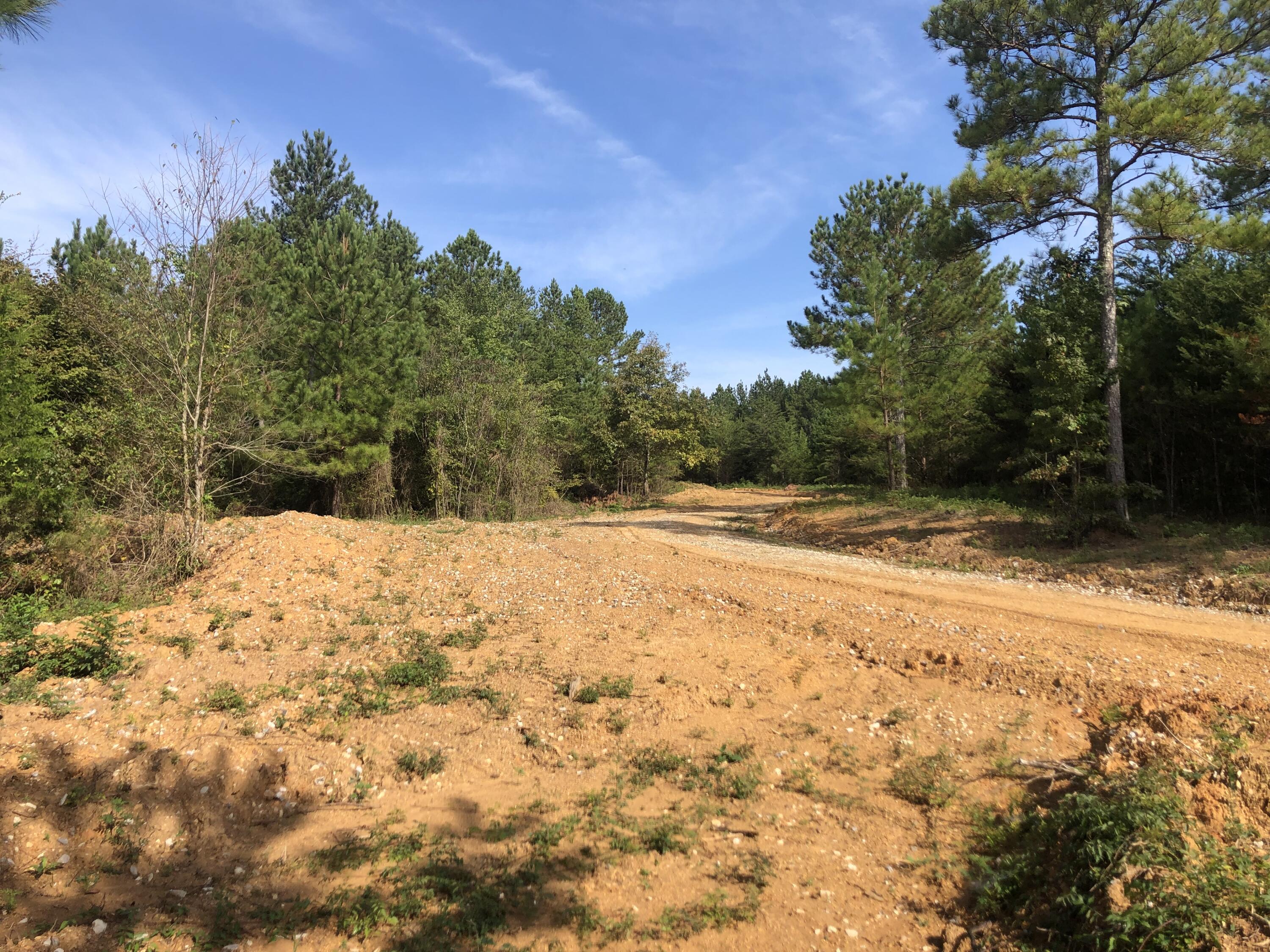 3 Athens Road, Unit 3 Delano, TN 37325 - Photo 1 of 15 IMG_7333