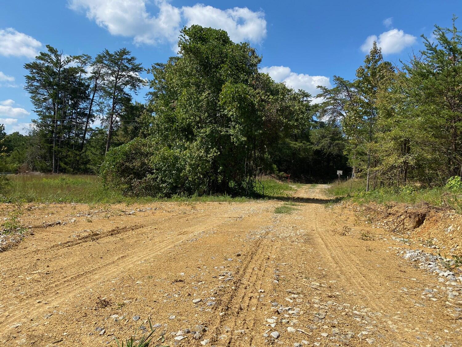 3 Athens Road, Unit 3 Delano, TN 37325 - Photo 9 of 15 IMG_7781
