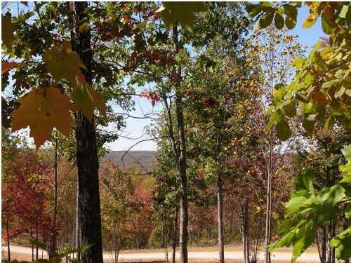 250 Roaring Creek Road Dunlap, TN 37327 - Photo 1 of 6 Primary Photo