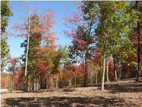 250 Roaring Creek Road Dunlap, TN 37327 - Photo 3 of 6 Additional Photo