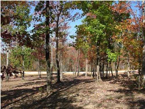 250 Roaring Creek Road Dunlap, TN 37327 - Photo 4 of 6 Additional Photo