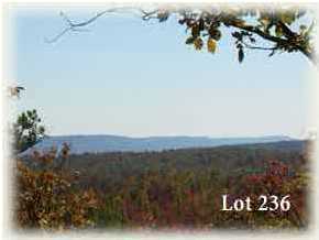 250 Roaring Creek Road Dunlap, TN 37327 - Photo 5 of 6 Additional Photo