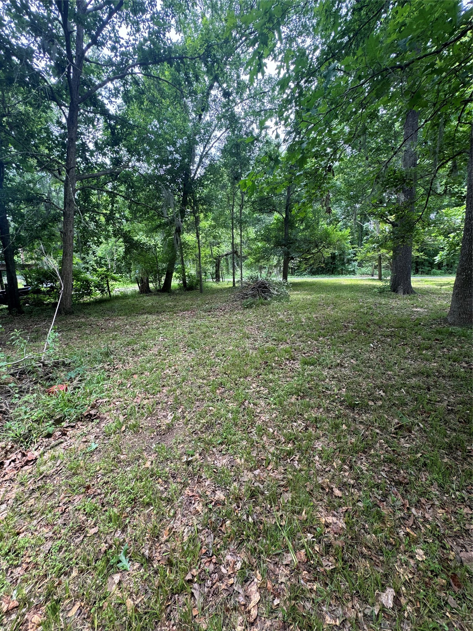 45 County Road 2859 Cleveland, TX 77327 - Photo 6 of 15 a view of a yard with a tree