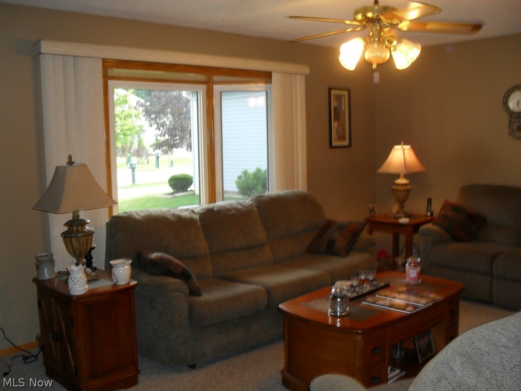 13865 Milo Road Cleveland, OH 44125 - Photo 8 of 21
