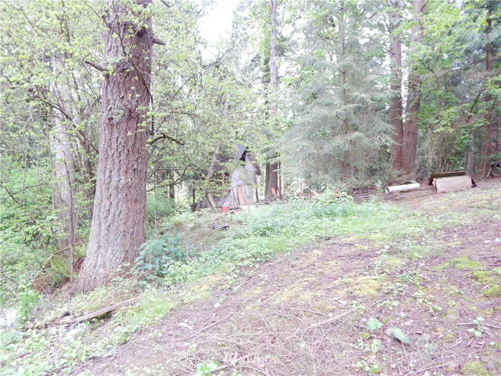 5955 East Collins Road Port Orchard, WA 98366 - Photo 8 of 11 Gallery Image 8