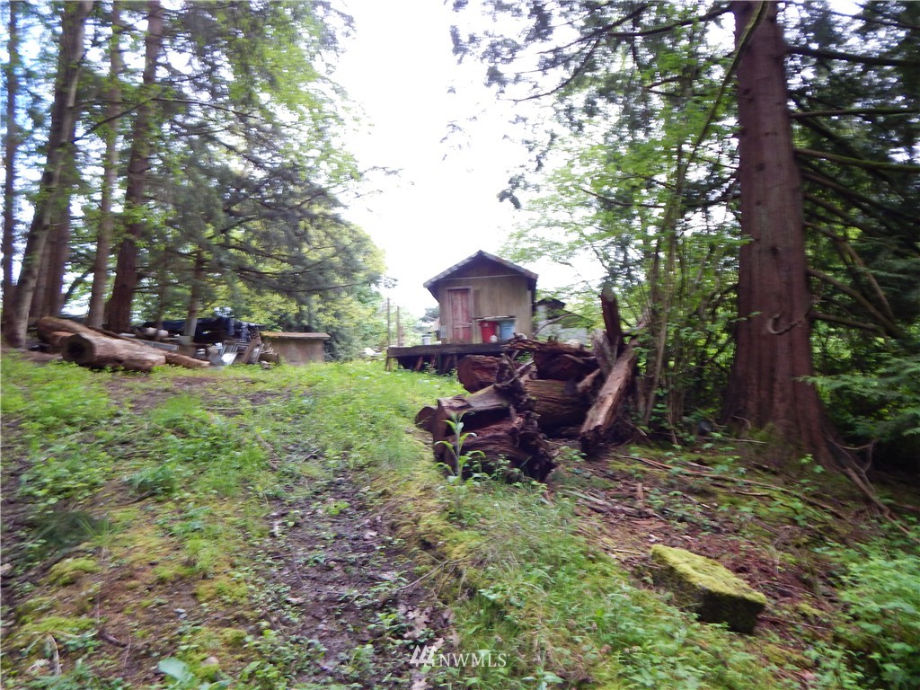 5955 East Collins Road Port Orchard, WA 98366 - Photo 9 of 11 Gallery Image 9