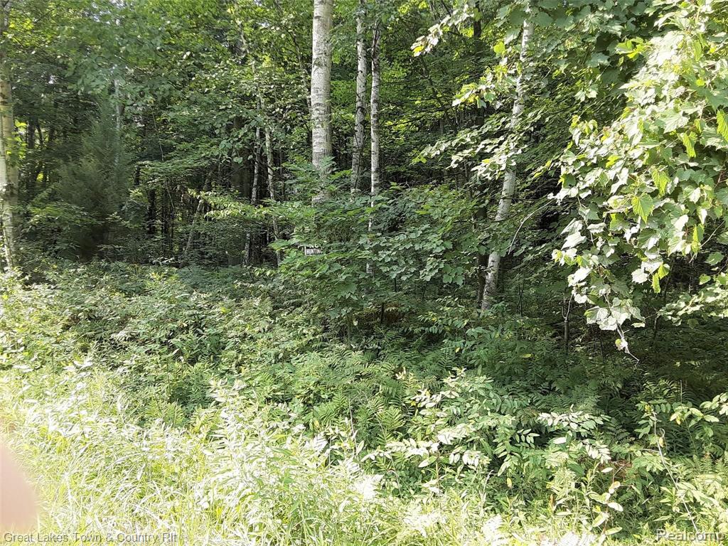 3405 French Line Road Applegate, MI 48401 - Photo 10 of 27