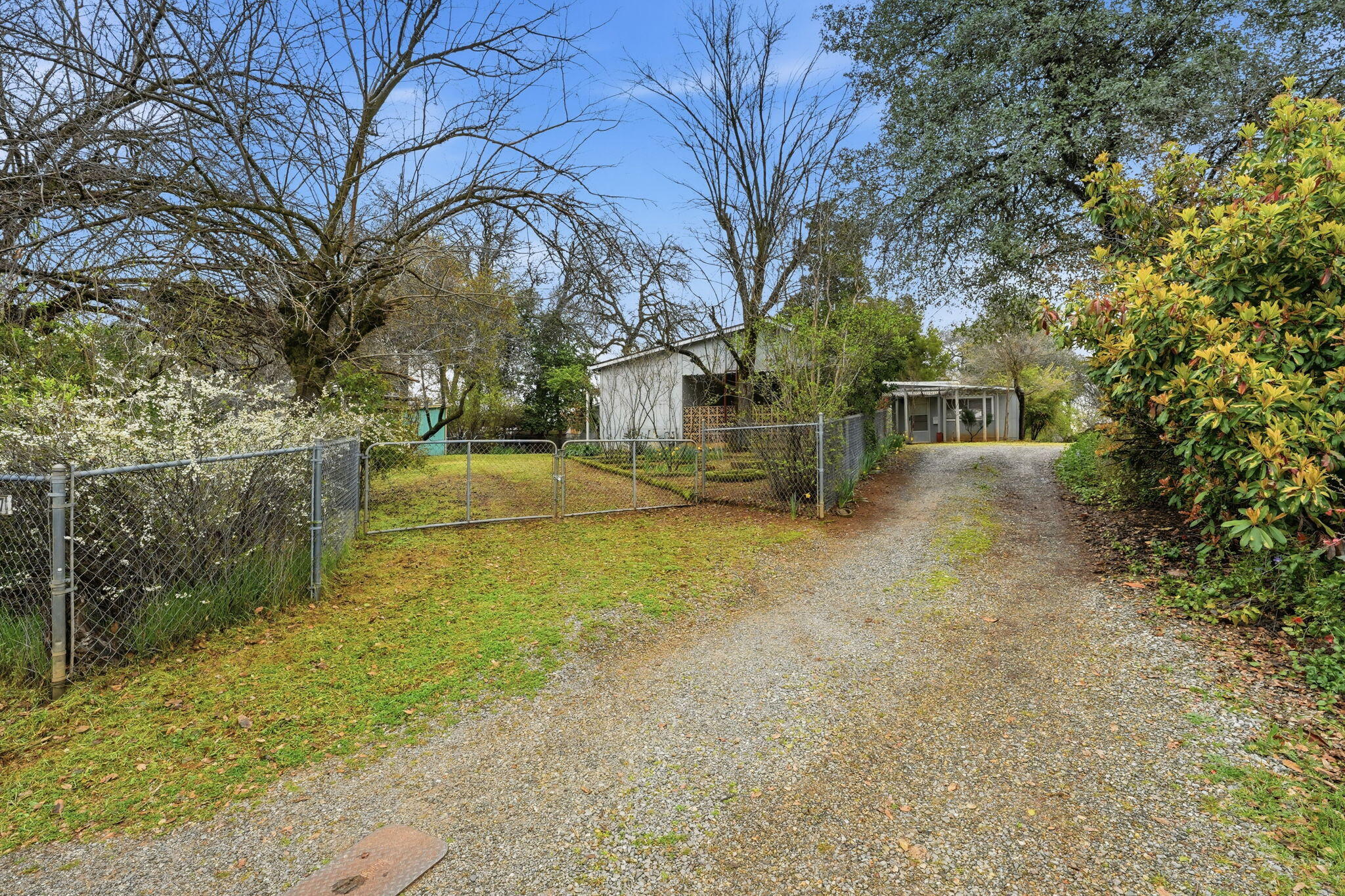 1717 Deer Creek Road Shasta Lake, CA 96019 - Photo 53 of 54 a view of a yard with trees