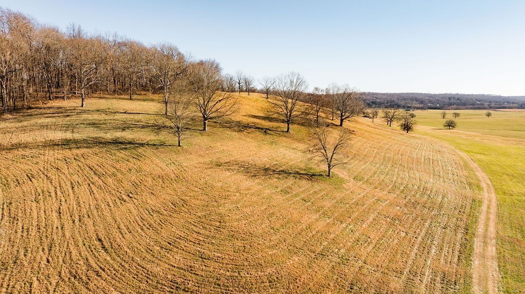 6415 Pinewood Road Nunnelly, TN 37137 - Photo 66 of 94 Gallery Image 66