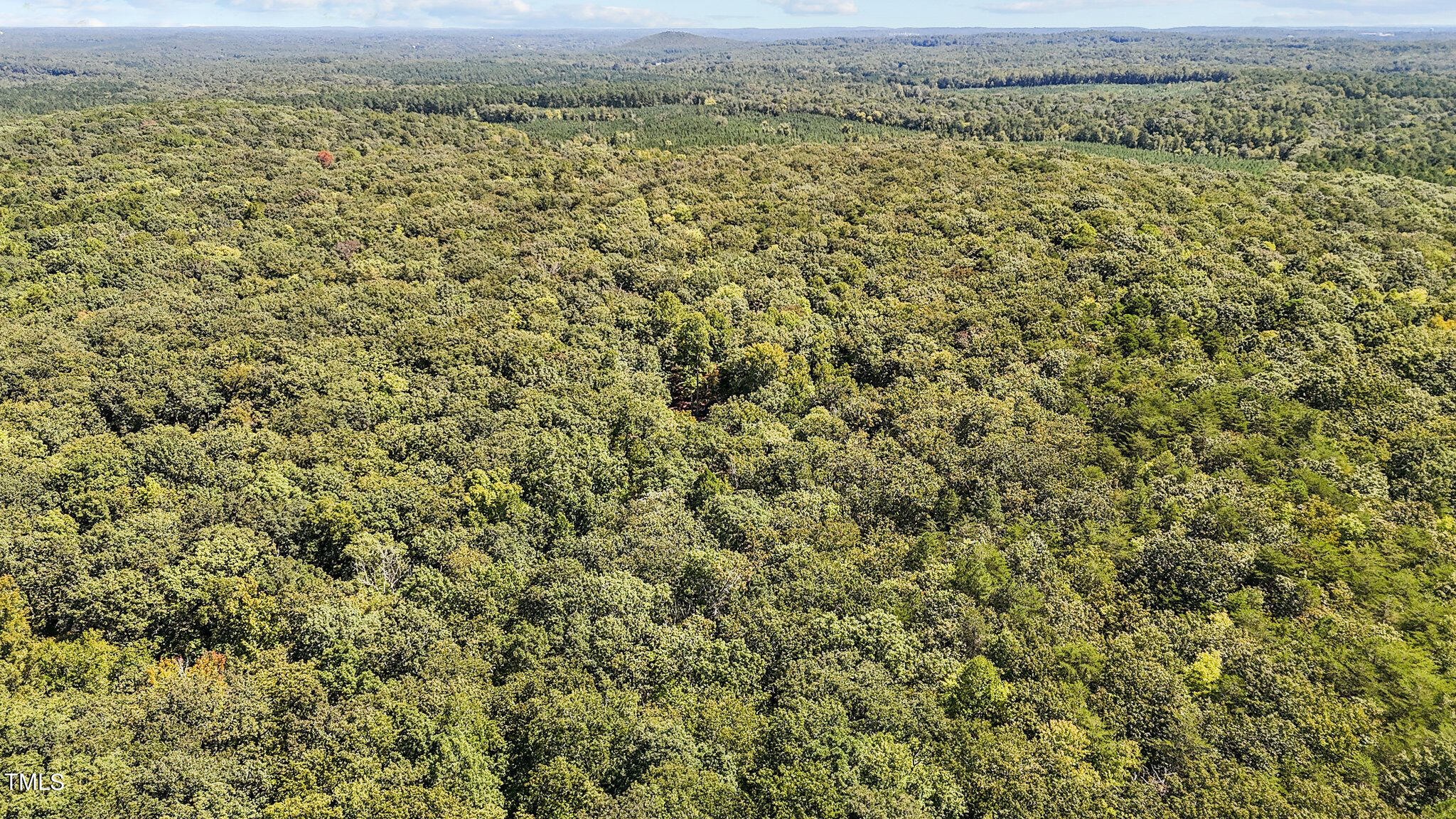 Tbd Monadnock Ridge Road Hillsborough, NC 27278 - Photo 4 of 8 13 acres in Efland 5