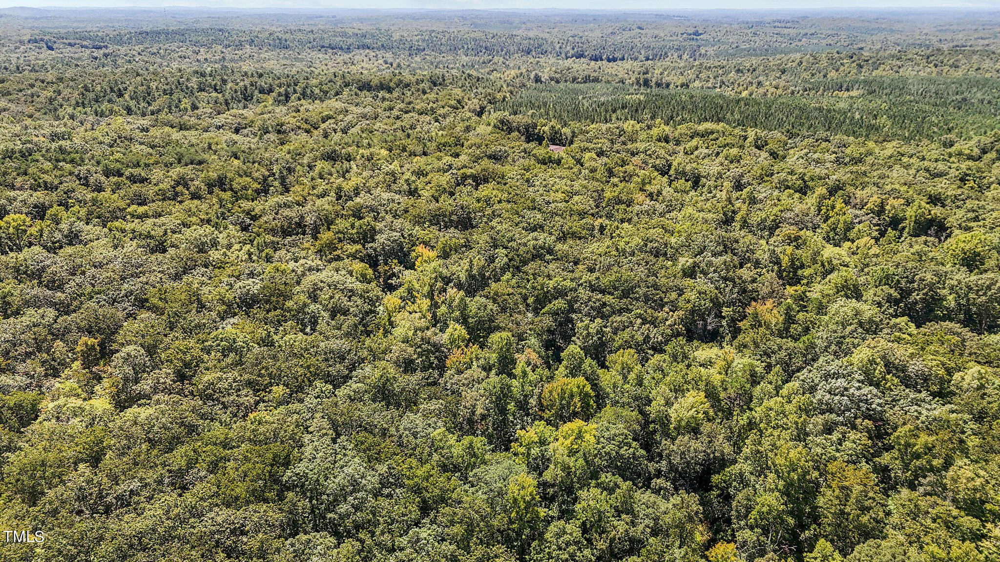 Tbd Monadnock Ridge Road Hillsborough, NC 27278 - Photo 5 of 8 13 acres in Efland 6