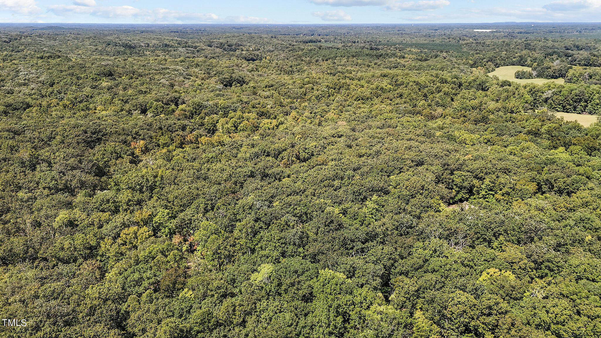 Tbd Monadnock Ridge Road Hillsborough, NC 27278 - Photo 6 of 8 13 acres in Efland