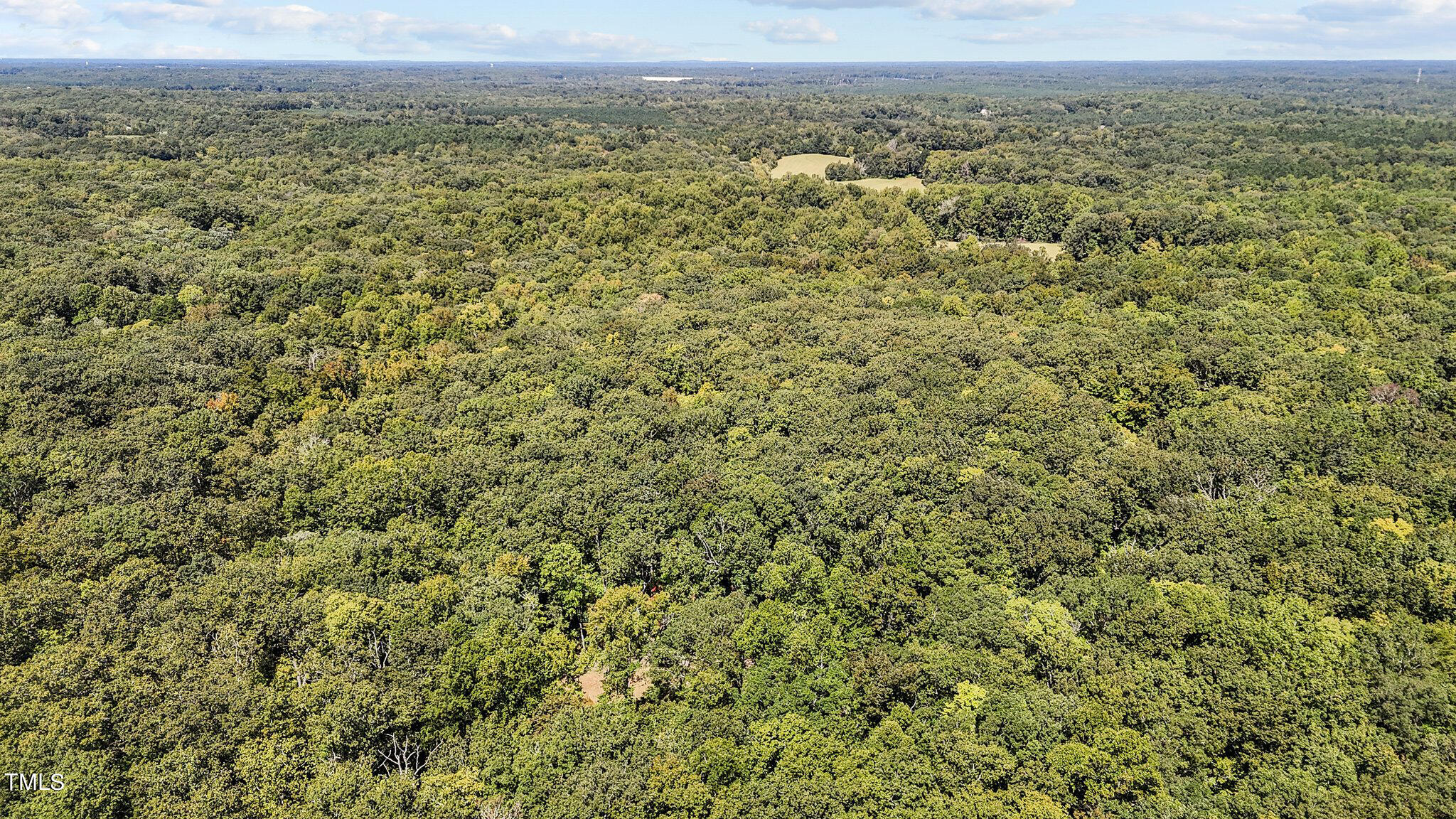 Tbd Monadnock Ridge Road Hillsborough, NC 27278 - Photo 7 of 8 13 acres in Efland2