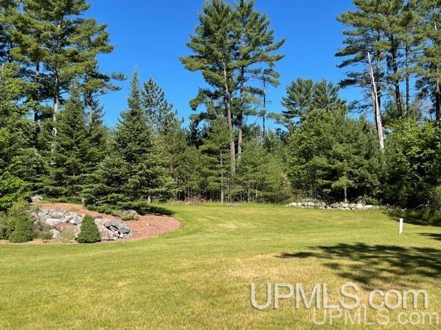 3878 Turners Grade Road Iron Mountain, MI 49801 - Photo 49 of 50