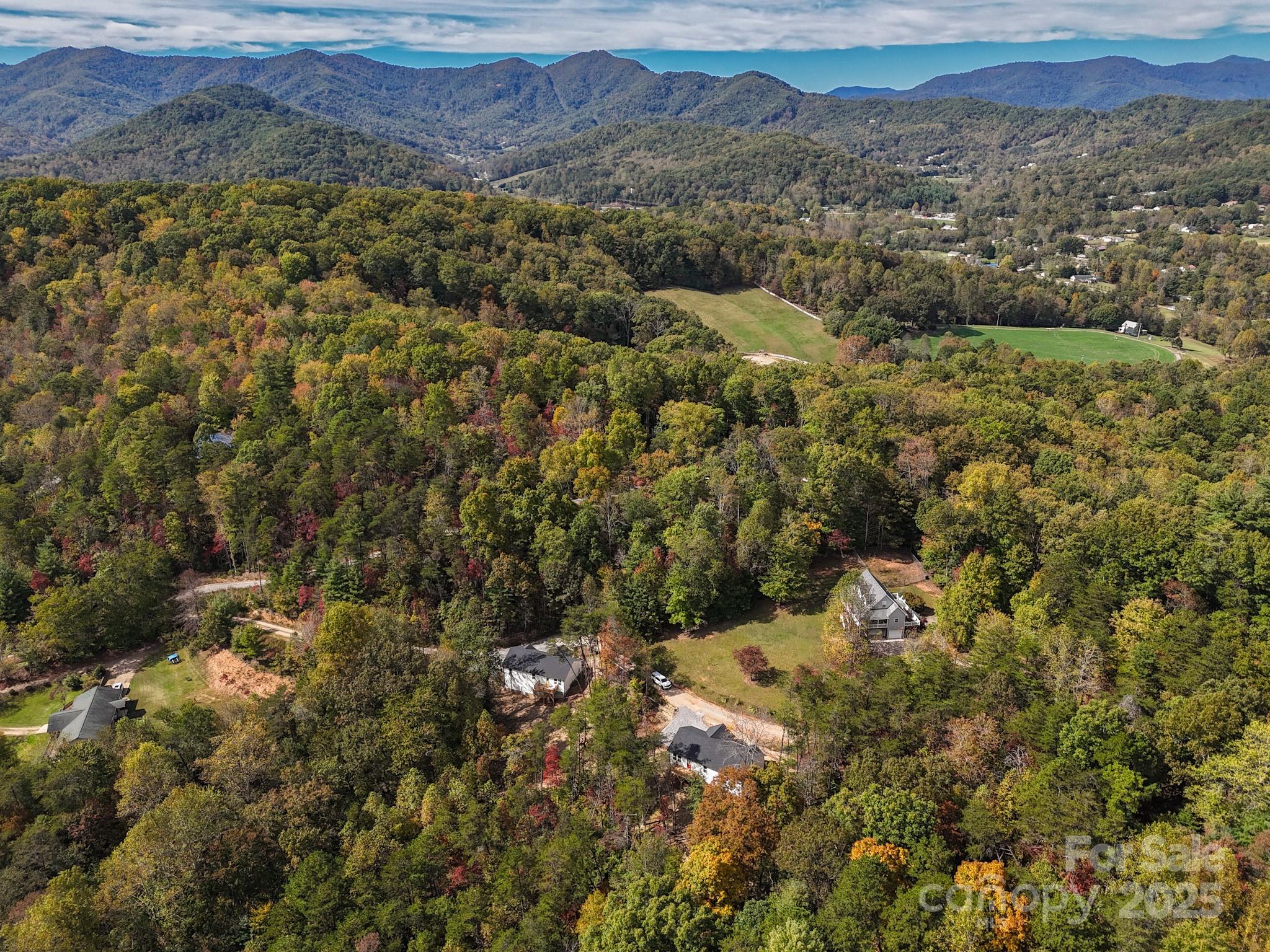 139 Burley Ridge Candler, NC 28715 - Photo 3 of 40 a view of a forest with mountains in the background