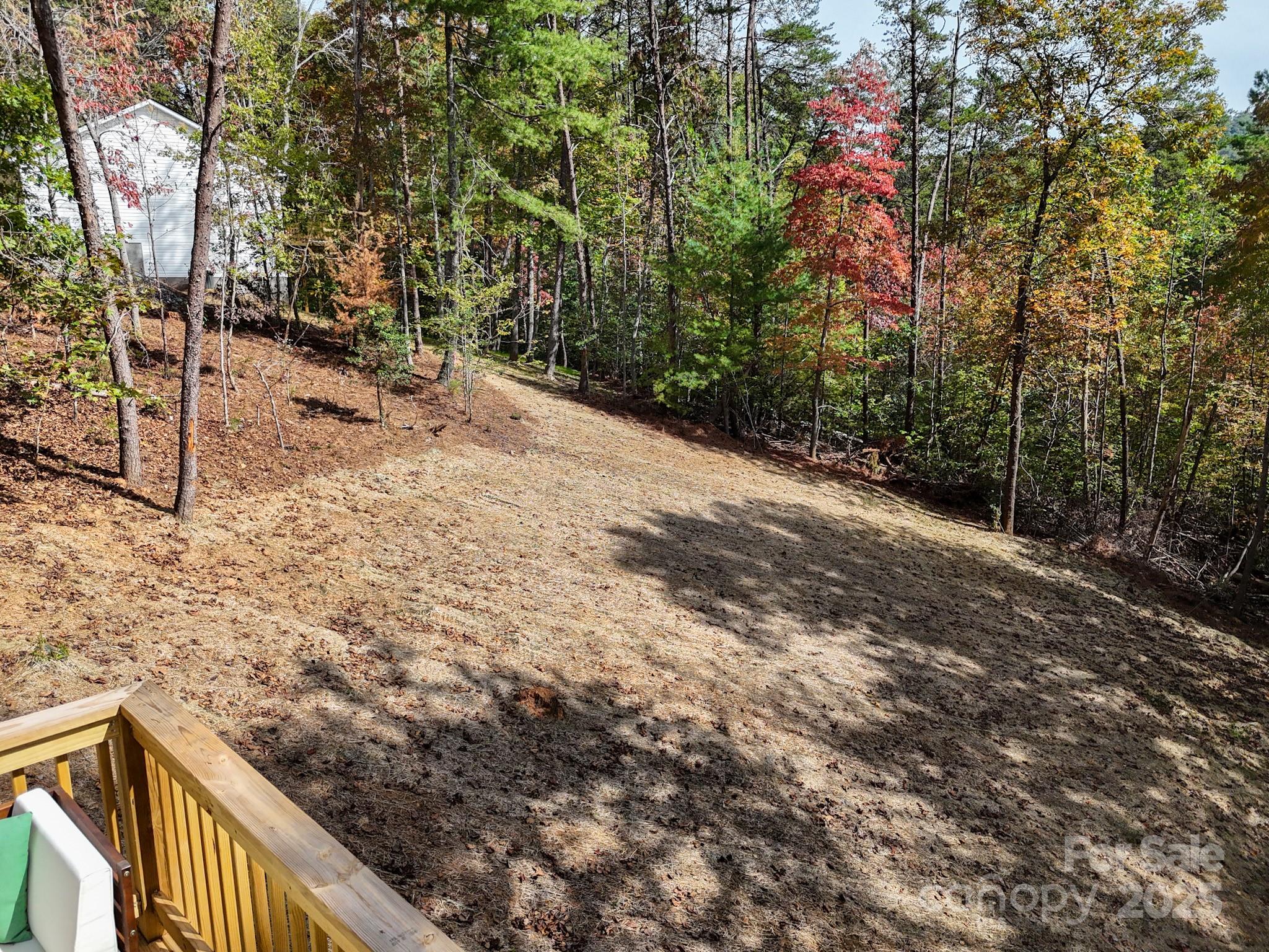 139 Burley Ridge Candler, NC 28715 - Photo 5 of 40 a view of pathway with trees