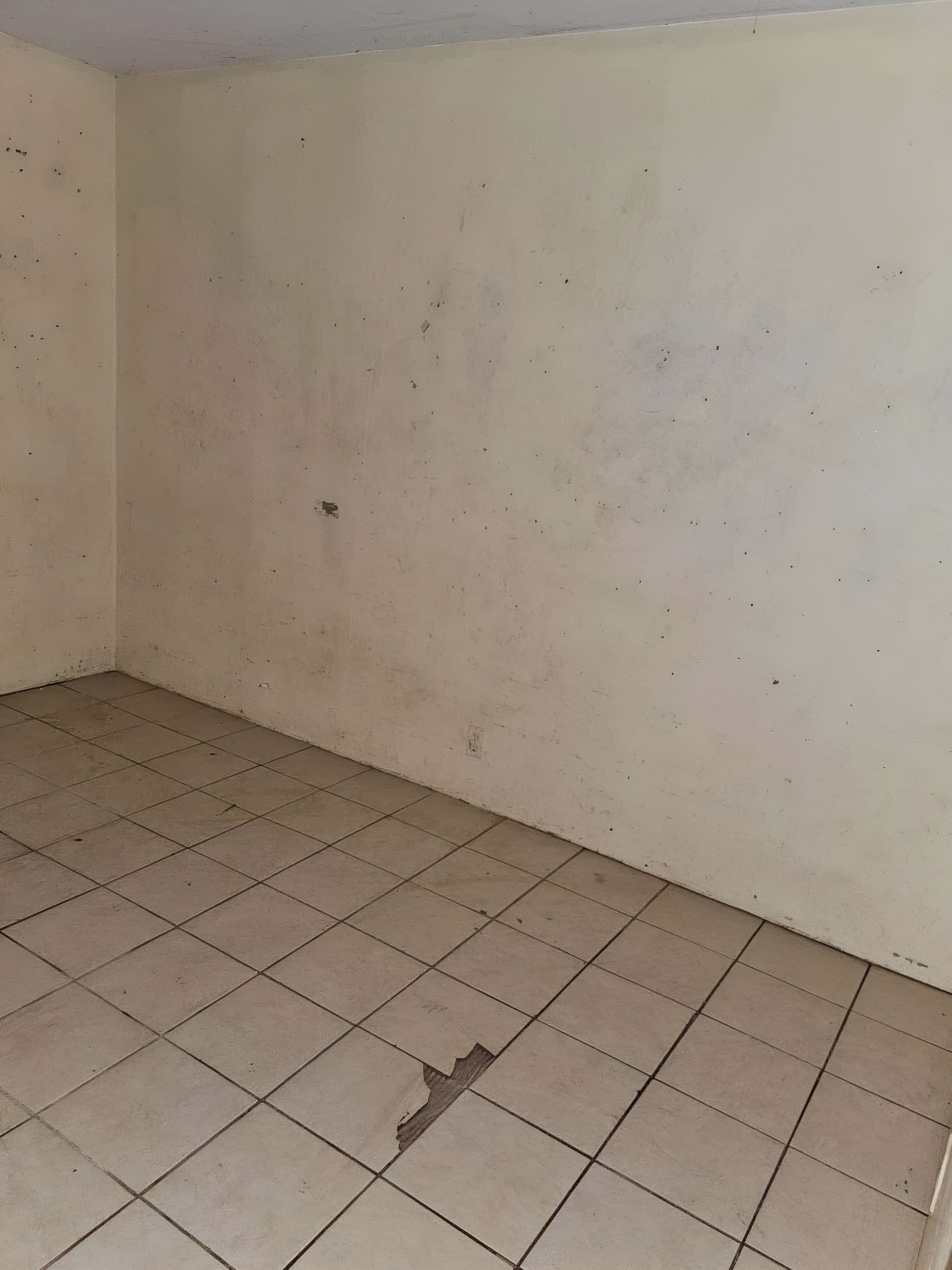 92-9092 Tree Fern Lane Ocean View, HI 96704 - Photo 2 of 9