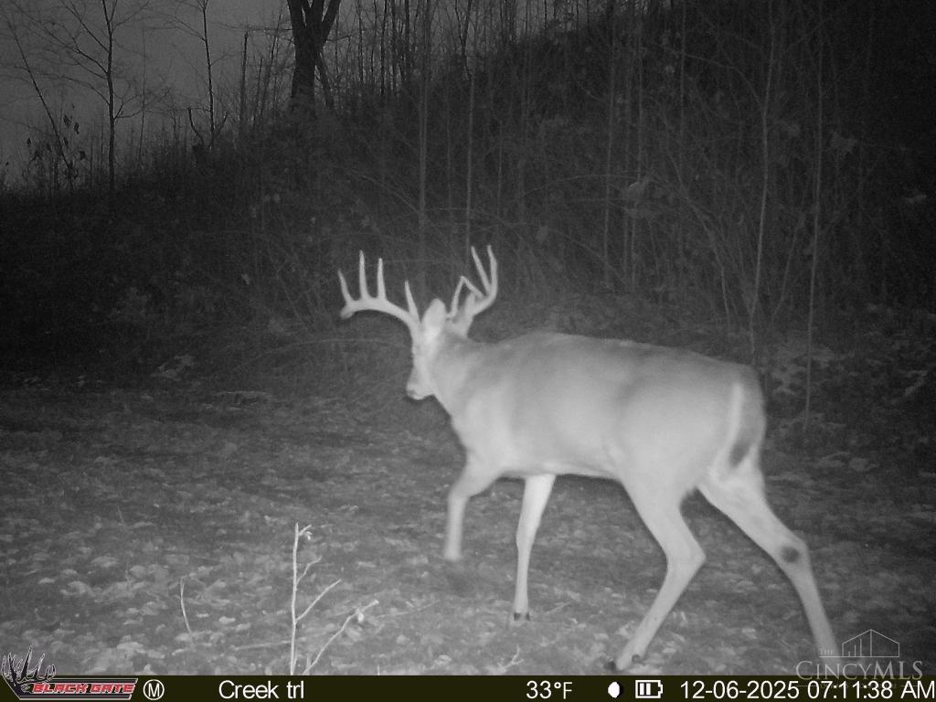 A Enley Road McDermott, OH 45652 - Photo 30 of 97
