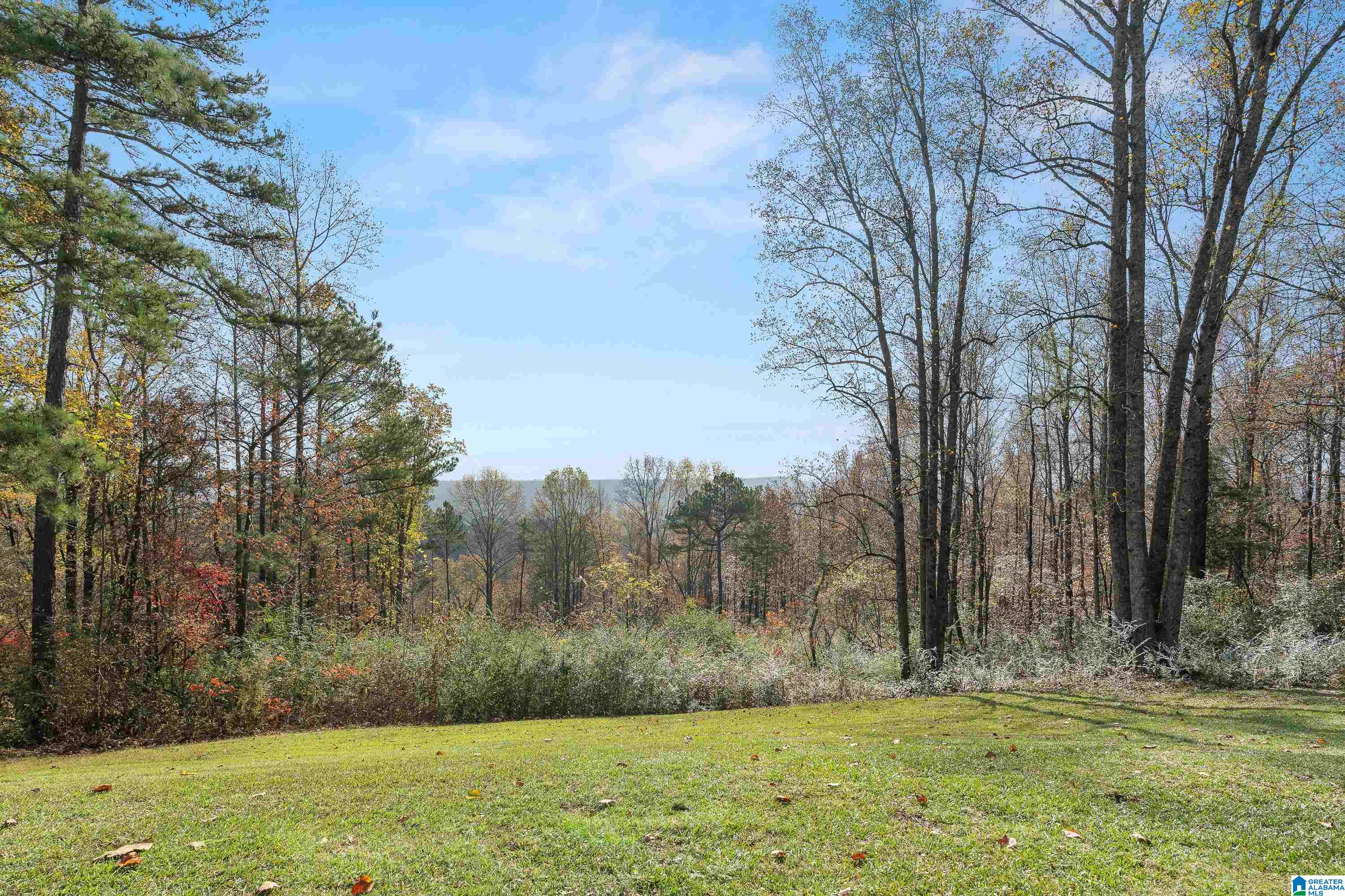600 Honeysuckle Lane Springville, AL 35146 - Photo 71 of 77