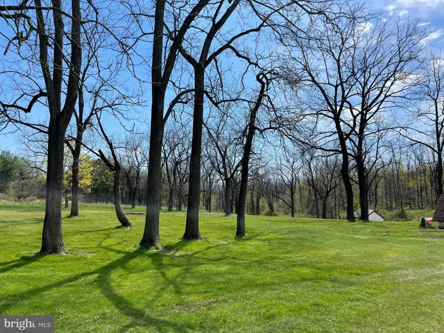 a view of a field of grass and trees